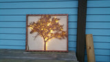 20.5x21x1.5 Lighted Tree