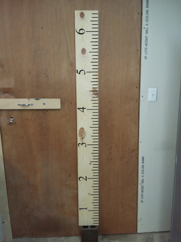 6' Wall Growth Chart